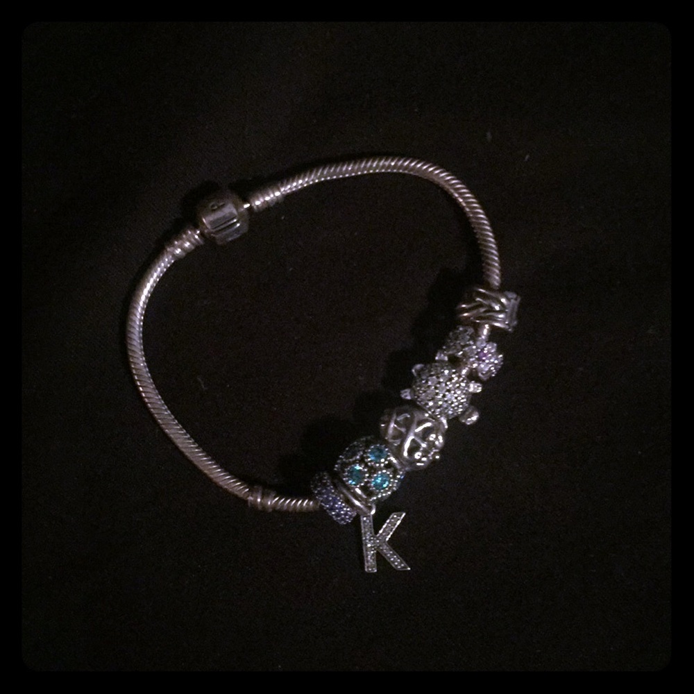 Pandora Charm Bracelet